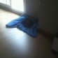 Su primer descanso en casa. Si es que es como una manchilla.